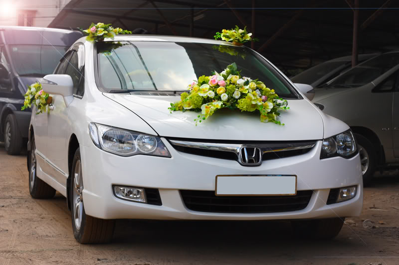 Cho thuê xe hoa